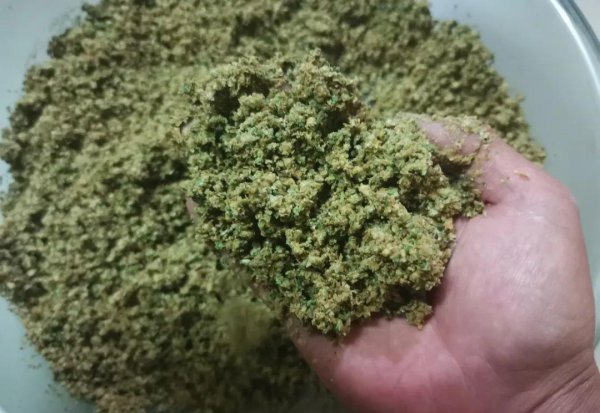 草鱼钓底还是钓浮好