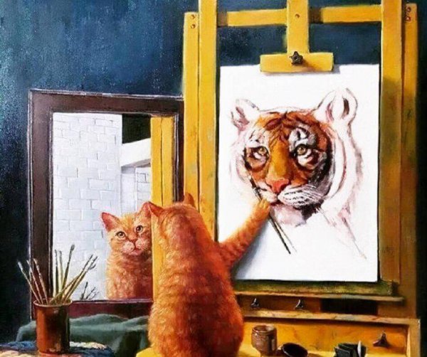 老虎为什么不伤害猫