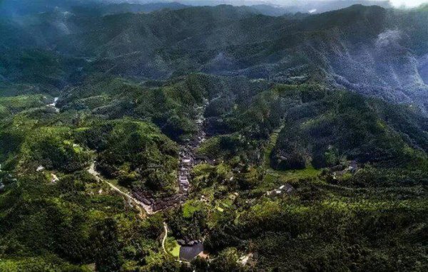 福建人的性格特点