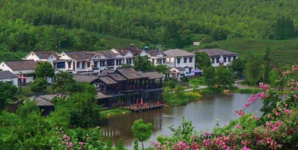 坟墓前最怕放什么东西