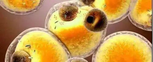 为什么人必须死亡呢