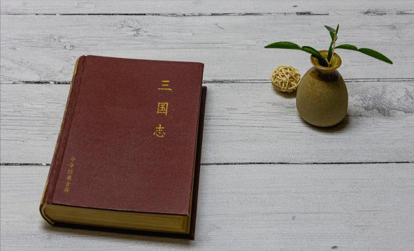 周瑜打黄盖的故事简述