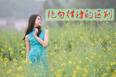 如何区分律诗和绝句的区别 律诗和绝句的不同和特点