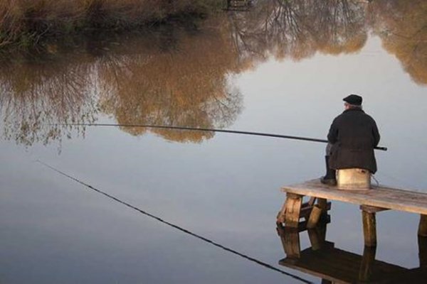 如何区分律诗和绝句的区别