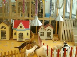 初次创业开什么店合适