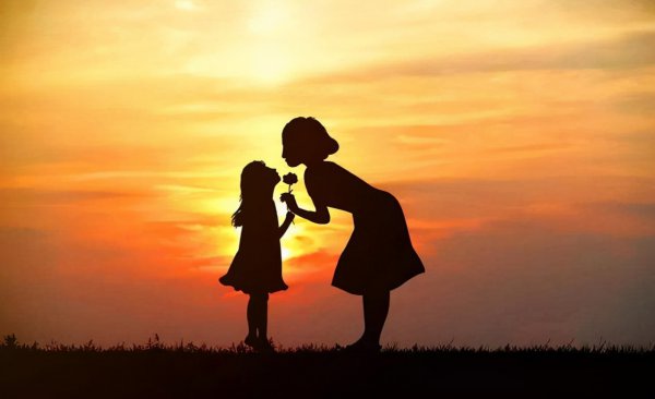 简单介绍狼王梦主要内容