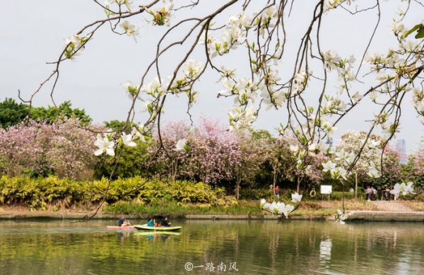 中国花城是哪个城市呢