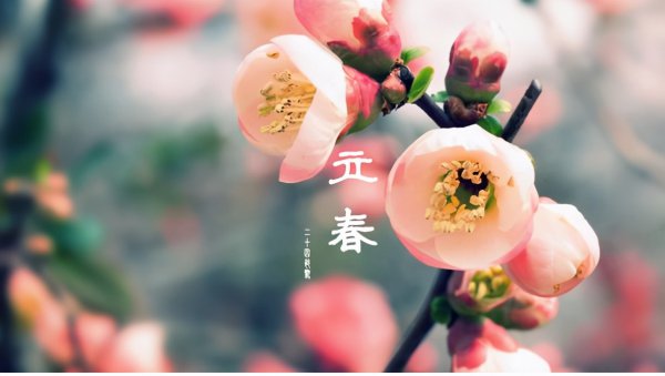 正月打春有什么说法