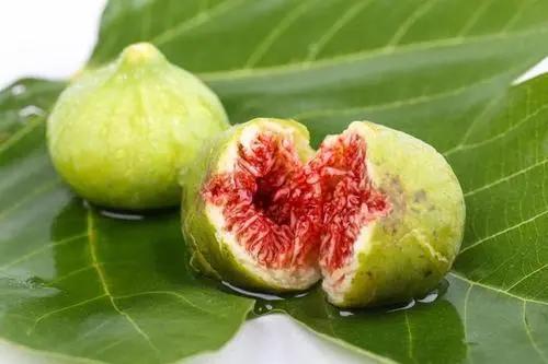 无花果的花在哪里