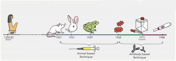 古代验孕的土方法
