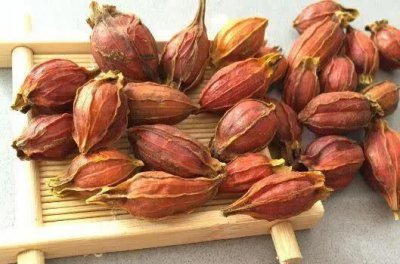 红曲米是什么东西做成的 食品添加剂红曲米有什么作用