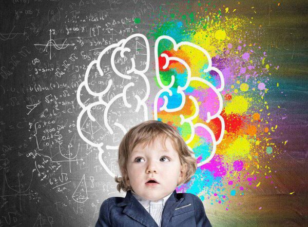 左脑型人和右脑型人哪个聪明