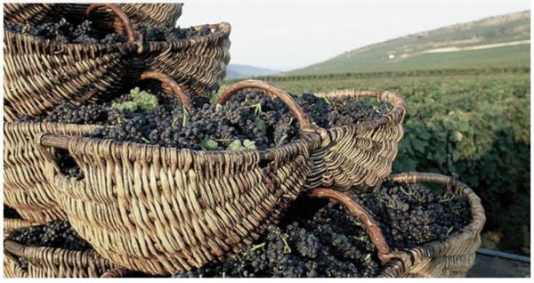 黑桃a在酒吧多少钱一瓶