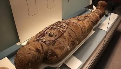 古埃及有多恐怖 关于古埃及的恐怖神秘之处在哪里