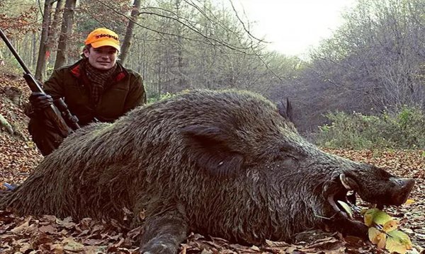 真正的美人鱼有多丑