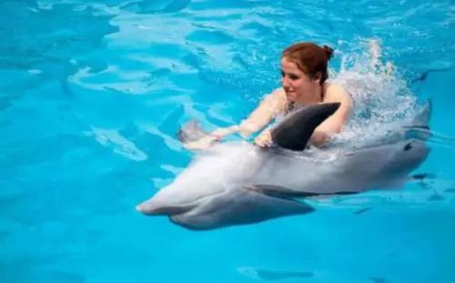 真正的美人鱼有多丑