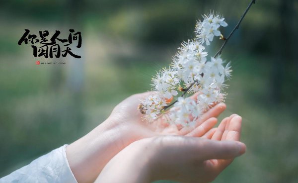 林徽因的一生简介