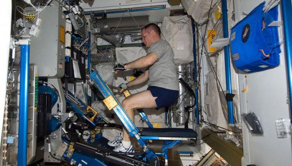 宇航员在太空有没有性生活