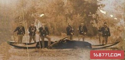 世界上唯一一只恐龙在哪里 恐龙与人类曾经共存过吗