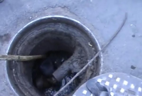 印度种姓制度的四个等级