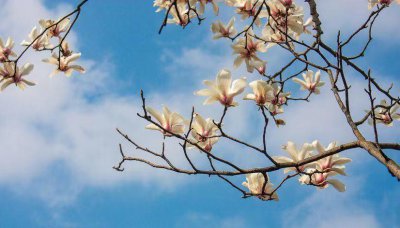 为什么人一眼就能看出你旺夫 女人旺夫的表现有哪些