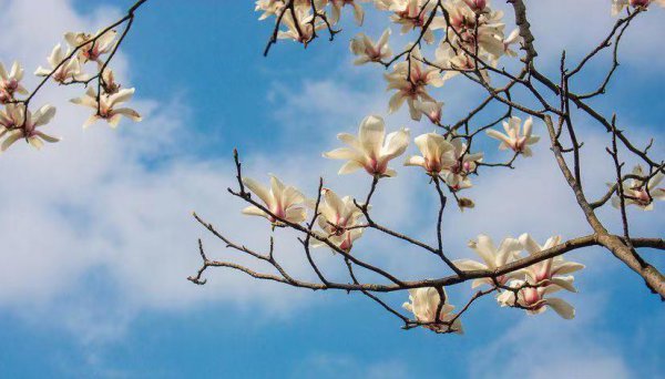 为什么人一眼就能看出你旺夫