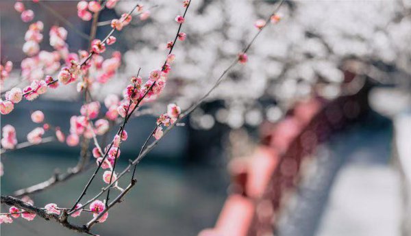 为什么人一眼就能看出你旺夫