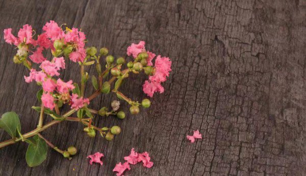 为什么人一眼就能看出你旺夫