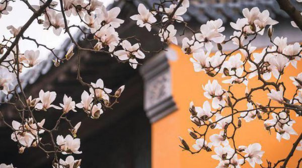 为什么人一眼就能看出你旺夫