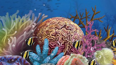 珊瑚是动物还是植物 珊瑚是怎么形成的有什么特点