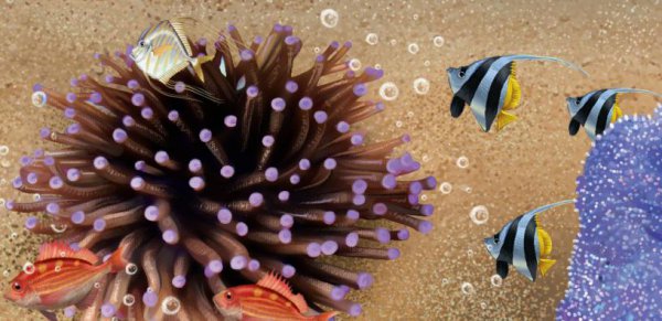 珊瑚是动物还是植物