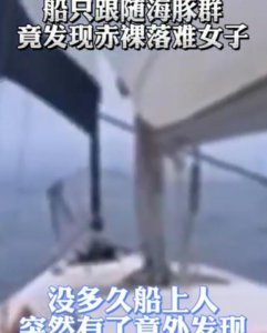 海豚为什么会救人 野生海豚救落水者的原因是什么