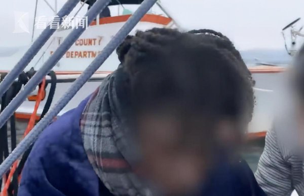 海豚为什么会救人