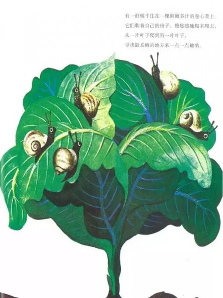 世界上最大的房子绘本故事