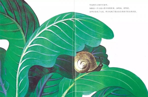 世界上最大的房子绘本故事