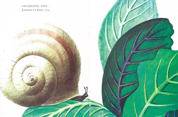 世界上最大的房子绘本故事