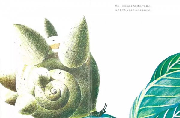 世界上最大的房子绘本故事