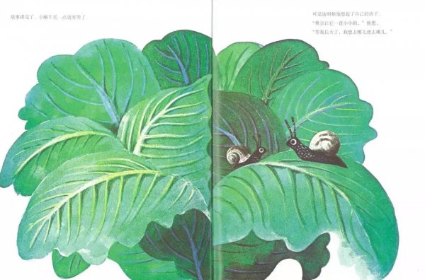 世界上最大的房子绘本故事