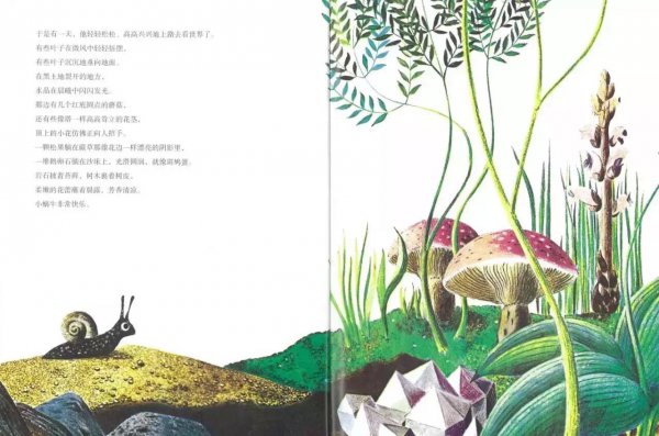 世界上最大的房子绘本故事