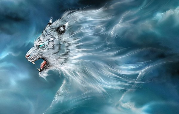 青龙白虎朱雀玄武的方位