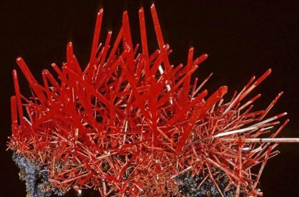 pb是什么化学元素