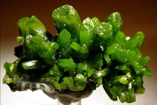 pb是什么化学元素