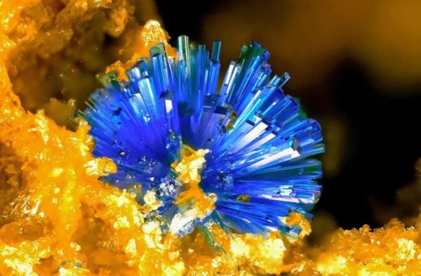 pb是什么化学元素