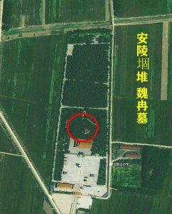 魏冉和芈月是什么关系 历史上魏冉和宣太后是姐弟关系吗