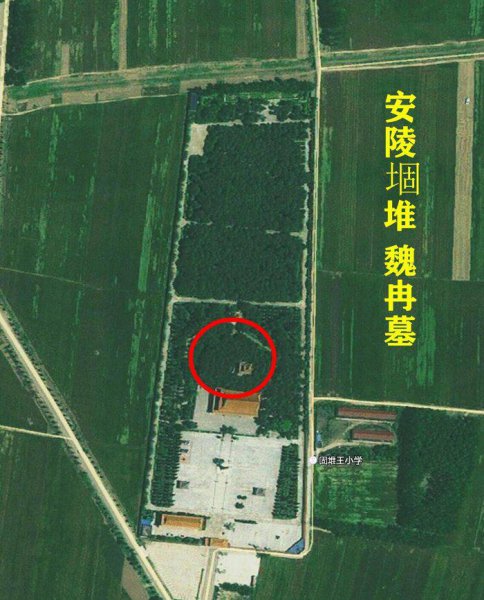 魏冉和芈月是什么关系