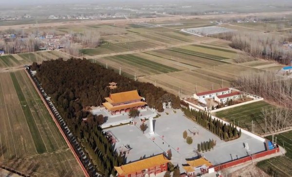 魏冉和芈月是什么关系