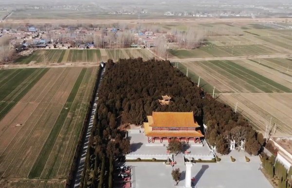 魏冉和芈月是什么关系