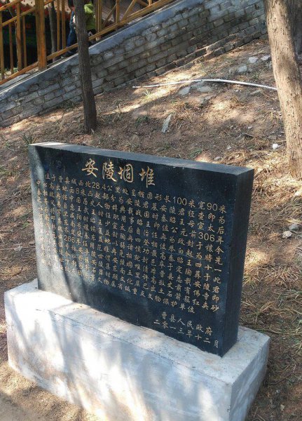 魏冉和芈月是什么关系