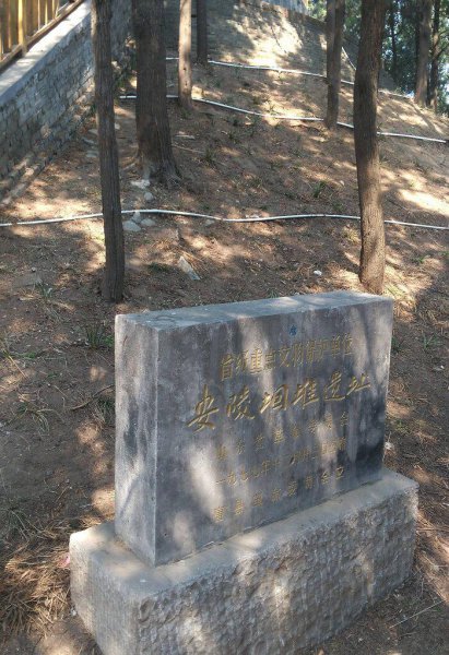 魏冉和芈月是什么关系