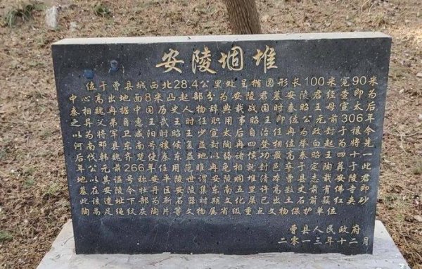 魏冉和芈月是什么关系